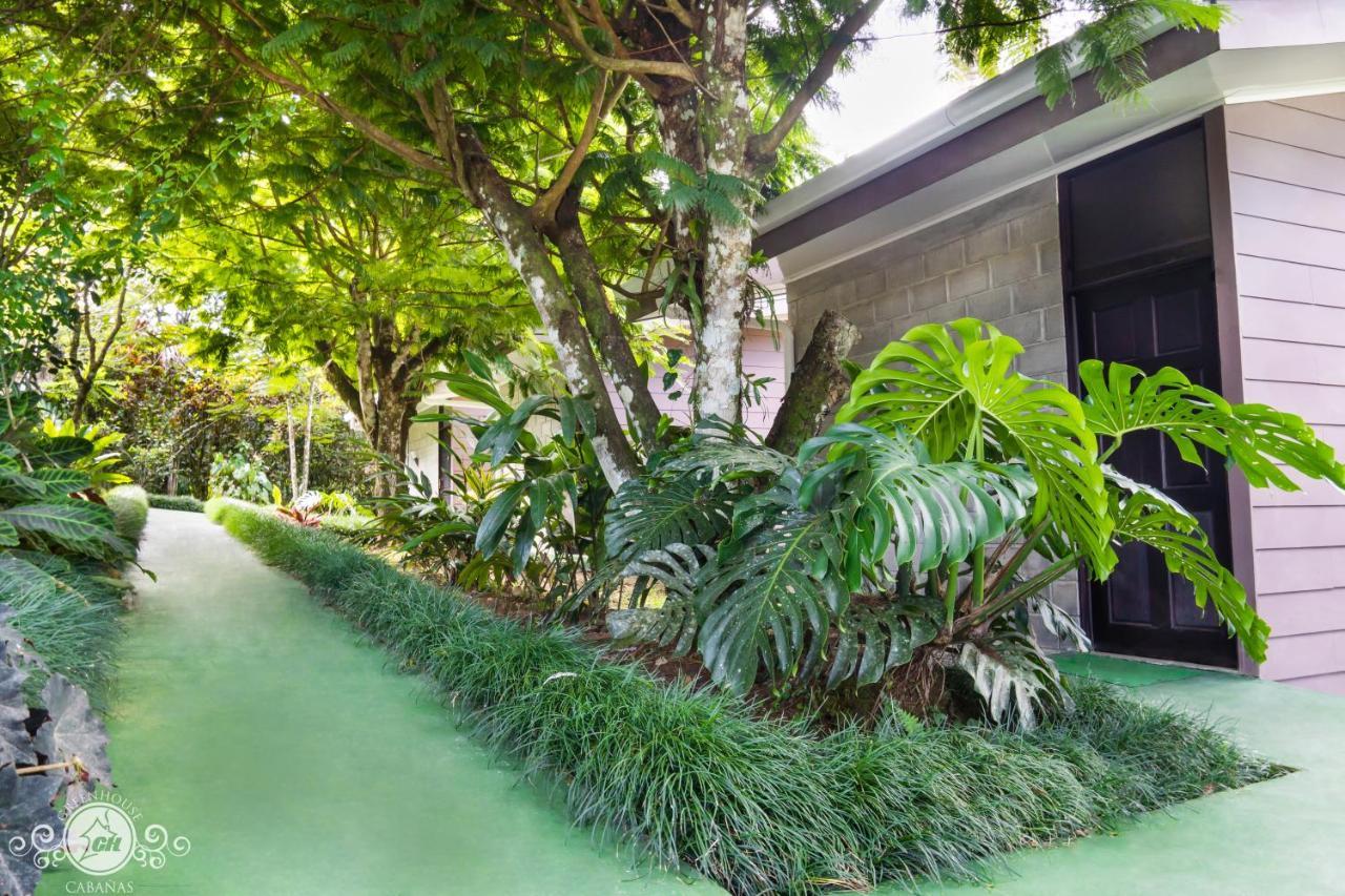 Cabanas Green House San Vito Esterno foto